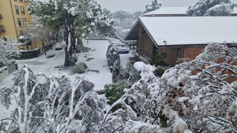 Neve in Romagna